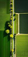 generativo ai, Fazenda paisagem, agrícola Campos, lindo interior, país estrada. natureza ilustração, fotorrealista topo Visão drone, vertical formato foto