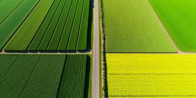 generativo ai, Fazenda paisagem, agrícola Campos, lindo interior, país estrada. natureza ilustração, fotorrealista topo Visão drone, horizontal bandeira. foto