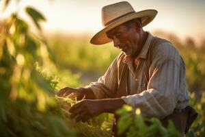 foto do uma trabalha duro Fazenda trabalhador dentro uma iluminado pelo sol campo, cuidando para a plantações. generativo ai