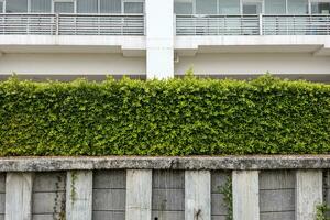 a Visão atrás uma parede do verde cerca alongar em uma concreto aterro plataforma. foto
