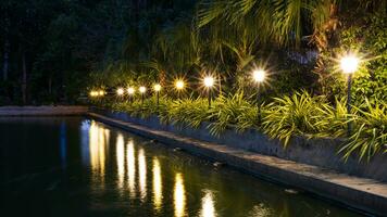 uma Visão do a amarelo luz a partir de a linhas do postes de iluminação decorado com jardins ao lado a lago. foto