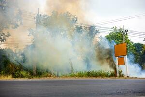 Visualizações do queimando Relva e ervas daninhas em pavimentou estradas poluir nuvens. foto