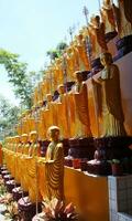 dourado Buda estátua dentro templos, wat fo, Bangkok, Tailândia para bandeiras, cartazes, em formação gráficos, impressões disposição cobertura livros, revista Páginas, publicidade materiais, propaganda marketing foto