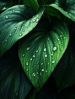 tropical folhas com água gotas em verde folhas fundo. realista folhas textura. vetor ilustração, ai generativo foto