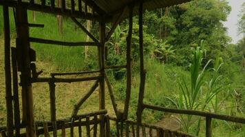 gubuk kayu, uma shab, vintage de madeira casa localizado dentro a floresta foto