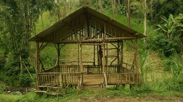 gubuk kayu, uma shab, vintage de madeira casa localizado dentro a floresta foto