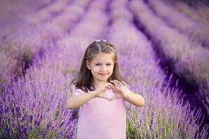 adorável caucasiano pequeno menina mostrando coração e amor placa mãos em pé dentro a lavanda campo. florescer, infância, paz, amor foto