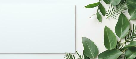 foto do uma branco quadro, Armação cercado de verde folhas, perfeito para adicionando seu próprio texto ou Projeto com cópia de espaço