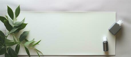 foto do uma plantar e uma branco borda em uma mesa com bastante do espaço para escrevendo ou desenhando com cópia de espaço