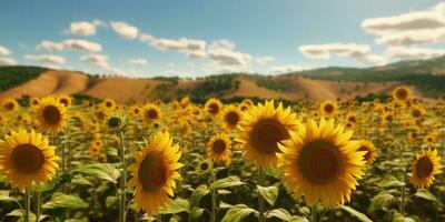 ai gerado. ai generativo. girassóis campo às ensolarado dia. natureza ao ar livre wil explorar Fazenda colheita dia vibe. gráfico arte foto