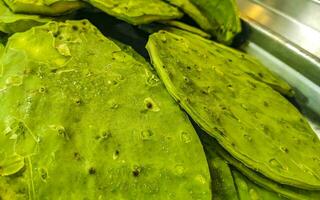 mexicano Comida cacto nopal para comer dentro supermercado dentro México. foto