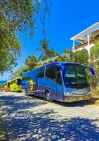 porto escondido Oaxaca México 2023 vários colorida ônibus Tour ônibus transporte dentro porto escondido México. foto