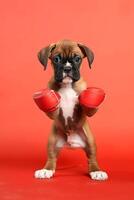 muito fofa cachorro boxer dentro natureza, nacional geografia, Largo vida animais. ai gerado. foto