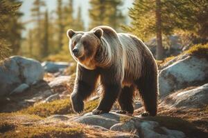 Urso dentro natureza, nacional geografia, Largo vida animais. ai gerado. foto
