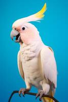 muito fofa cacatua dentro natureza, nacional geografia, Largo vida animais. ai gerado. foto