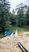 Visão do rio dentro a floresta foto