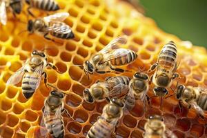 querida abelhas em favo de mel dentro apiário dentro horário de verão, querida abelhas comunicar com cada outro, ai generativo foto