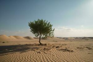 árvore solitário crescendo dentro uma arenoso deserto debaixo pegajoso céu. gerado ai. foto