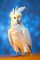 muito fofa cacatua dentro natureza, nacional geografia, Largo vida animais. ai gerado. foto