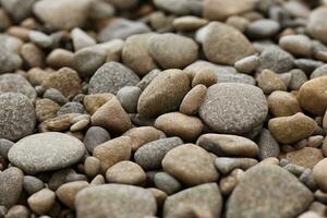 de várias pedras do diferente formas e cores em a praia, útil para fundo foto