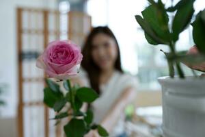 lindo jovem ásia mulher florista corte rosa flor dentro flor fazer compras foto