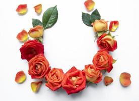 composição de flores. moldura feita de rosas vermelhas e folhas em fundo branco foto