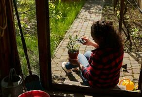uma jardineiro senta de a Segue do uma de madeira pavilhão dentro a jardim e cortes fora a folhas do uma hortelã plantar plantado dentro uma argila Panela com jardim tesoura de jardim foto