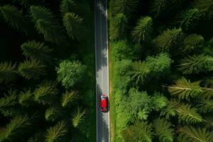 uma carro dirigindo baixa uma rodovia através alta árvores foto