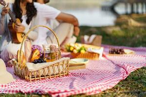 piquenique almoço refeição ao ar livre parque com Comida piquenique cesta. desfrutando piquenique Tempo dentro parque natureza ao ar livre foto