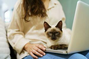 mulher trabalhando a partir de casa com gato. gato adormecido em a computador portátil teclado. assistente gato trabalhando às computador portátil foto