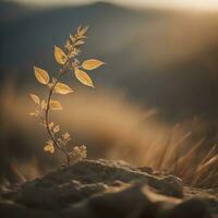 plantar dentro a deserto às pôr do sol tempo. lindo natureza fundo. generativo ai foto