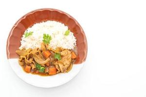 arroz curry japonês com carne de porco fatiada, cenoura e cebola