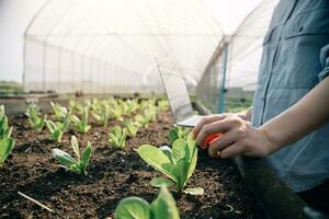 ásia mulher agricultor usando digital tábua dentro vegetal jardim às estufa, o negócio agricultura tecnologia conceito, qualidade inteligente agricultor. foto