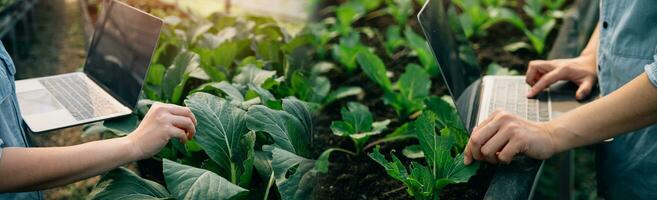 ásia mulher agricultor usando digital tábua dentro vegetal jardim às estufa, o negócio agricultura tecnologia conceito, qualidade inteligente agricultor. foto