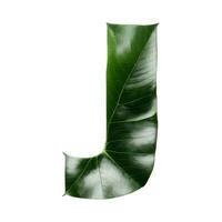 verde folha tipografia texto Projeto maiúscula alfabeto j, ai generativo foto