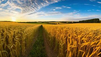 hipnotizante manhã panorama do uma grande trigo campo. generativo ai foto