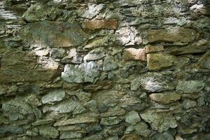 uma pedra parede com muitos diferente tipos do pedras foto