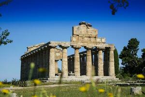 a antigo ruínas do Paestum foto