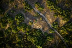 pedestre caminho para deficiente pessoas foto