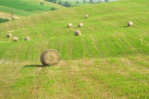 feno colheita dentro Toscana foto