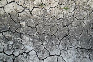 a efeitos do seca em a terra foto