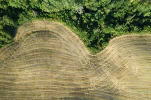 aéreo Visão do a forma do a Campos Toscana Itália foto