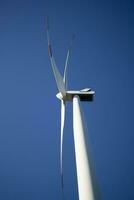 renovável energia através vento turbinas foto