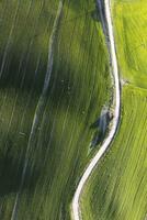 aéreo Visão do uma cultivado campo dentro Primavera foto