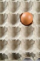 uma solteiro ovo dentro uma bandeja foto