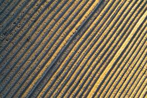 uma fechar acima do uma campo com linhas do amarelo foto