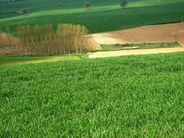 campo Visão dentro Primavera foto