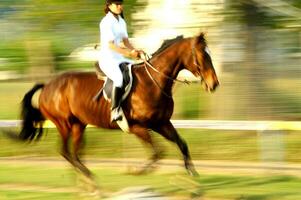 uma pessoa equitação uma cavalo foto