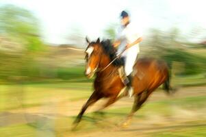 uma pessoa equitação uma cavalo foto