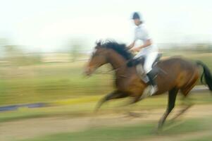 uma pessoa equitação uma cavalo foto